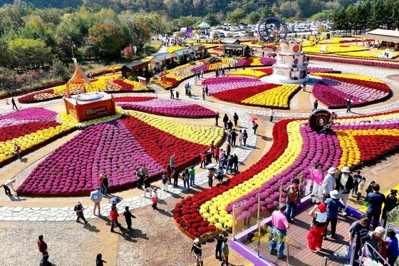 인제 가을꽃축제