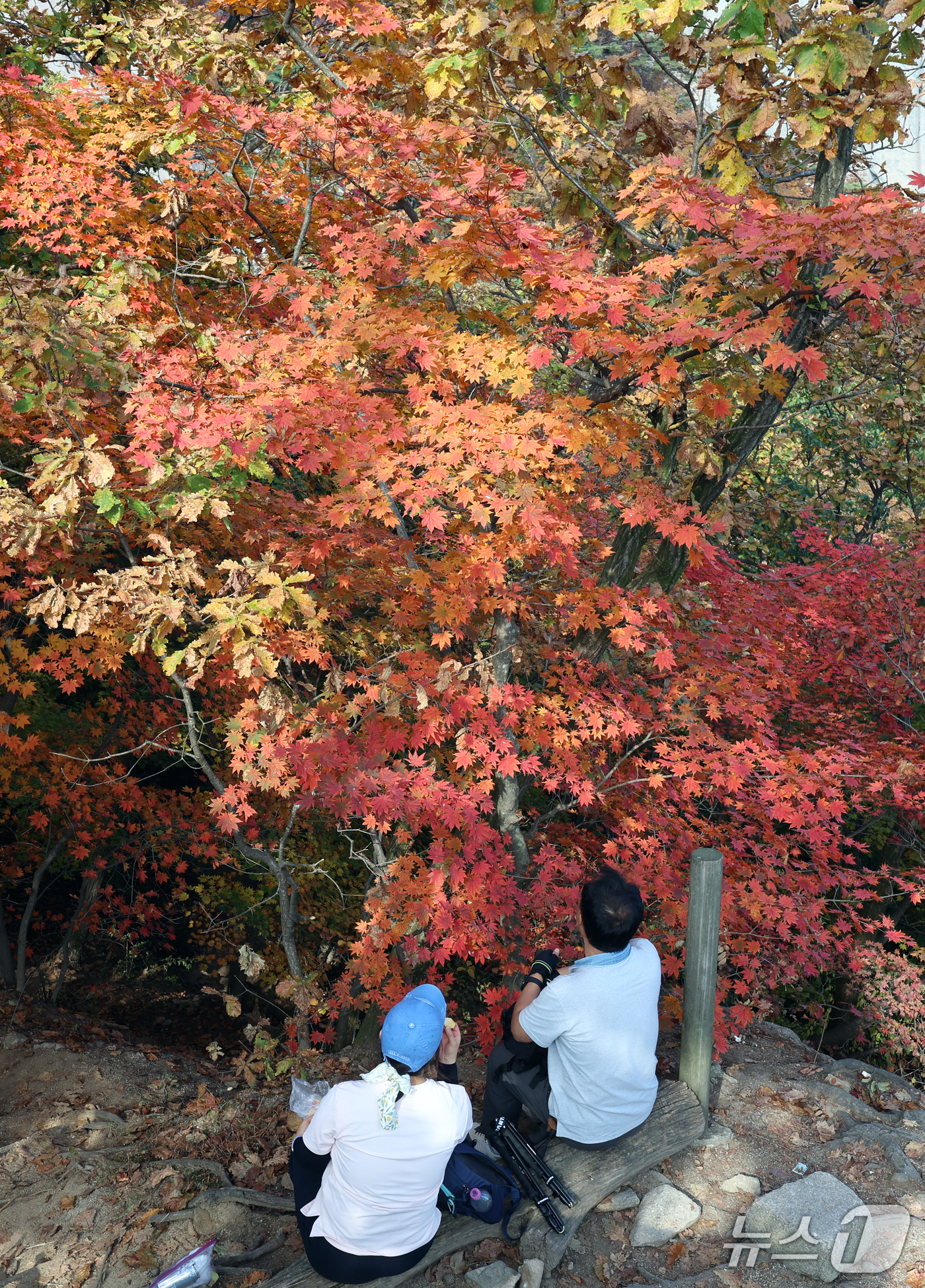 (서울=뉴스1) 김명섭 기자 = 완연한 가을 날씨를 보인 11일 서울 북한산국립공원에서 등산객들이 단풍 그늘 아래에서 간식을 먹으며 가을정취를 만끽하고 있다. 단풍은 지난달 28일 …