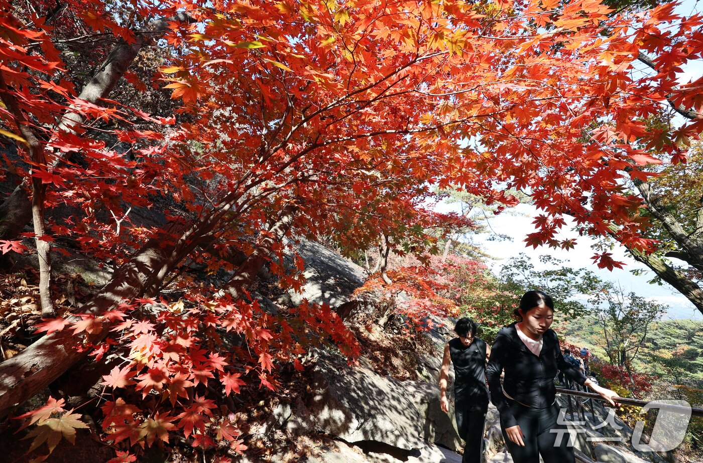 본문 이미지 - 완연한 가을 날씨를 보인 11일 서울 북한산국립공원에서 등산객들이 산행을 하며 가을정취를 만끽하고 있다. 2026.10.11 ⓒ 뉴스1 김명섭 기자