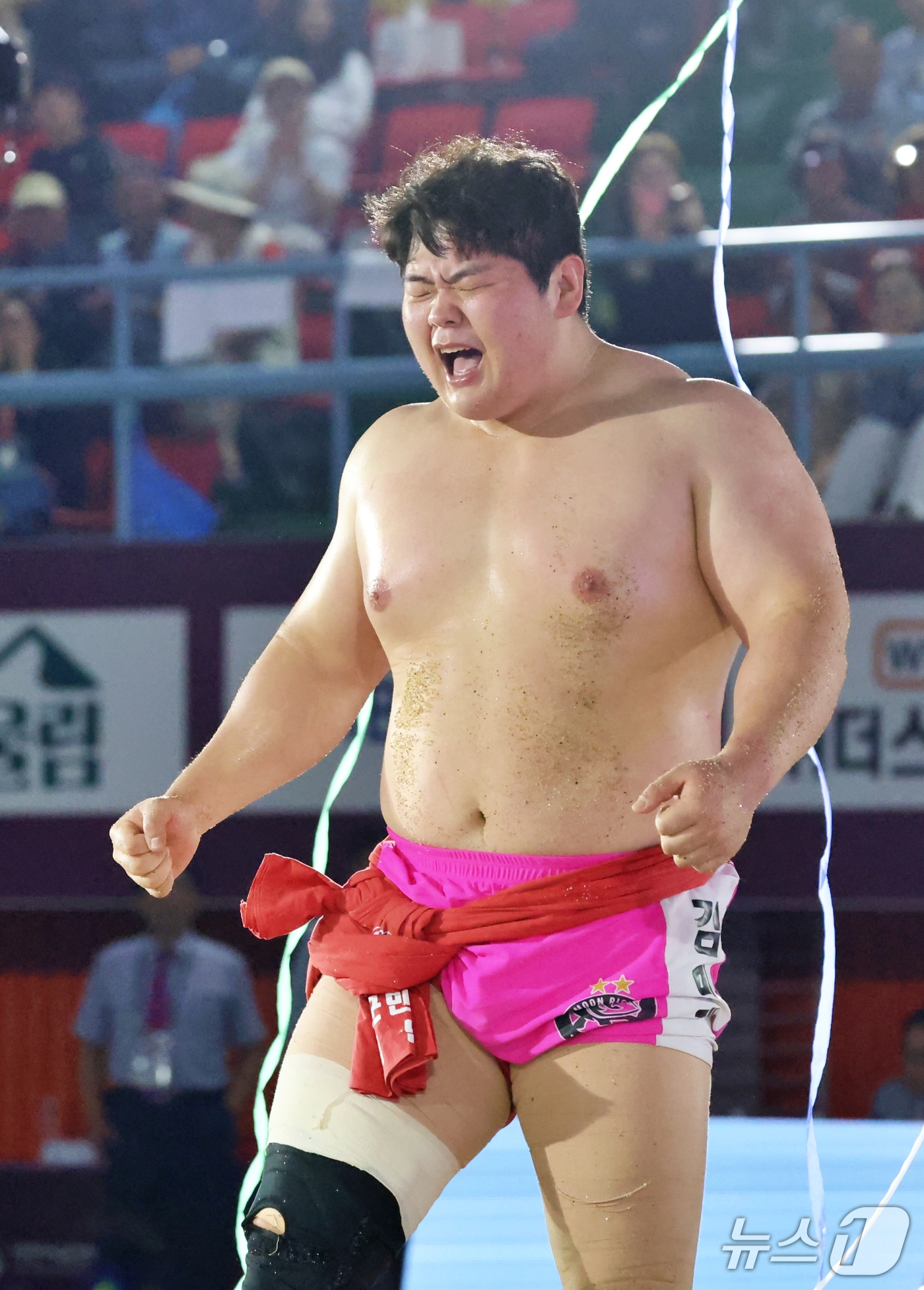 (서울=뉴스1) = 11일 충북 괴산군 괴산문화체육센터에서 열린 '위더스제약 2026 괴산추석장사씨름대회'에서 백두장사(140kg이하)에 등극한 영암군민속씨름단 김민재가 우승 결정 …