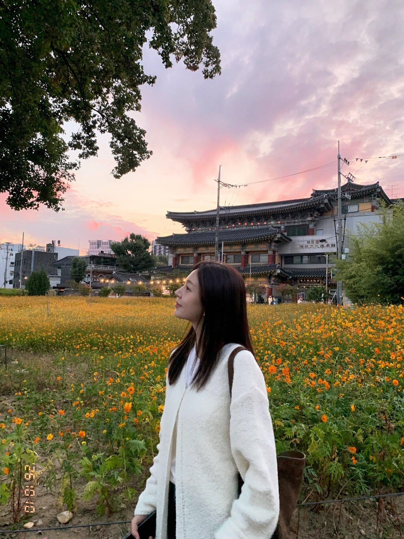 본문 이미지 - 사진=백진희 인스타그램 갈무리