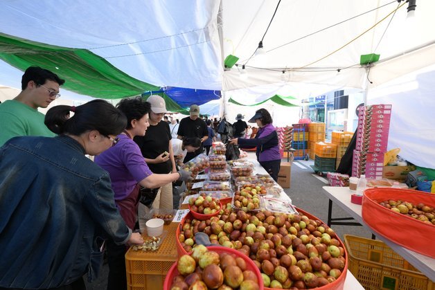 논산 연산대추문화축제 4만명 방문…"가을 대표 가족형 축제로"