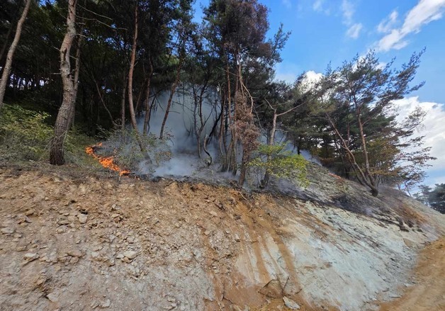 청도 야산에 불…헬기 7대 투입 1시간 40분 만에 진화(종합)