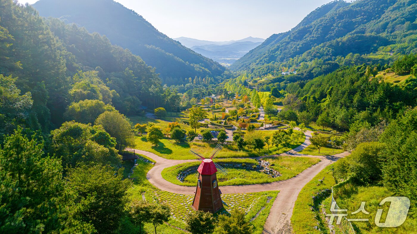 본문 이미지 - 괴산 성불산 자연휴양림.(괴산군 제공. 재판매 및 DB 금지).2026.10.13/뉴스1