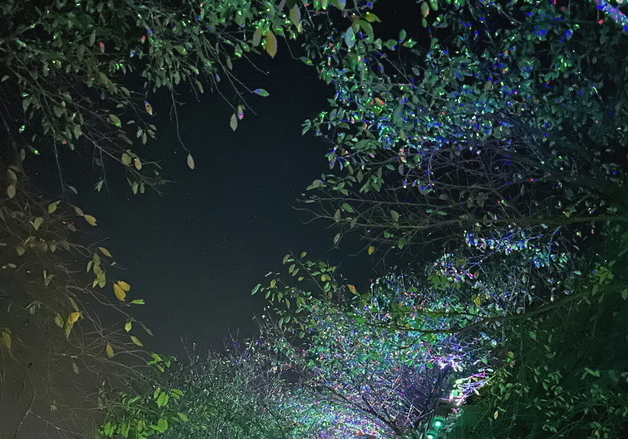 보은 보청천변 밤길 환해졌다…풍취~중동 조명 설치 완료