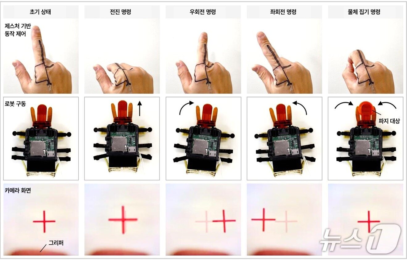본문 이미지 - 손가락 센서 패치를 이용한 비틀봇의 전진·좌·우회전 및 물체 파지 제어(KAIST 제공) /뉴스1