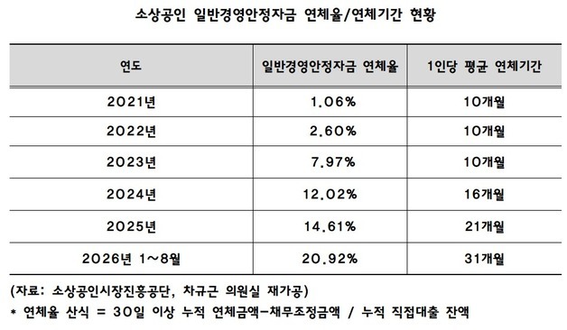 소상공인 5년 새 일반자금 대출 잔액 90% 감소…연체율은 20배 상승