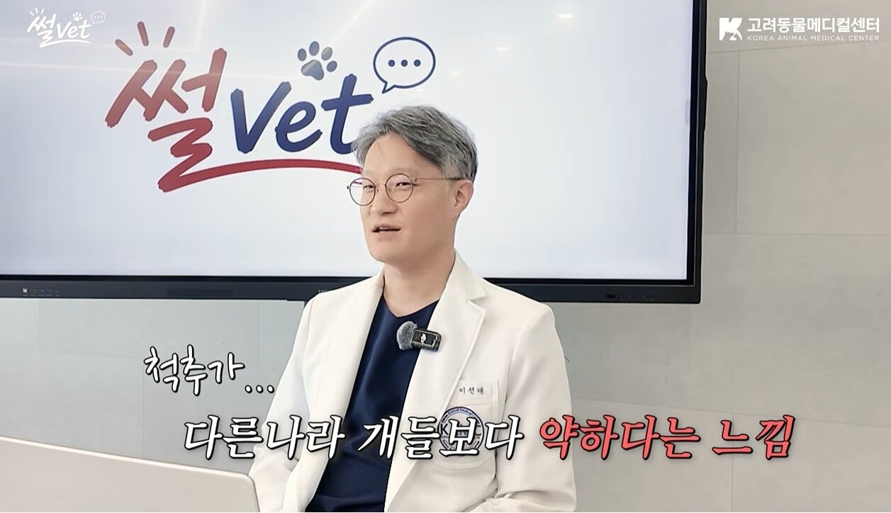 본문 이미지 - 이선태 고려동물메디컬센터 첨단수술센터장이 병원 공식 유튜브에 출연해 '강아지 디스크'를 주제로 강의했다(유튜브 갈무리). ⓒ 뉴스1