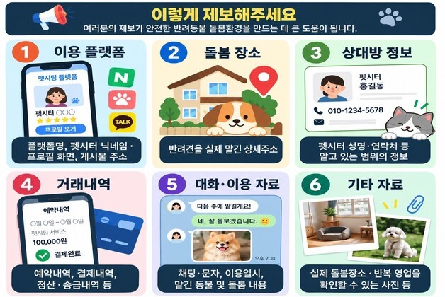 서울시, 가정집서 반려동물 맡는 '무등록 펫시팅' 단속 강화
