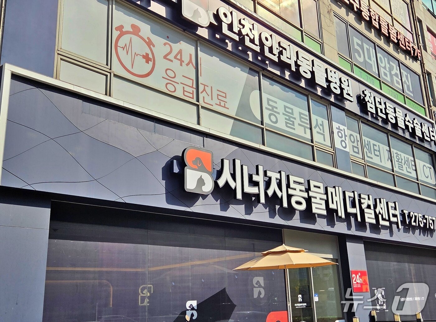 본문 이미지 - 시너지동물메디컬센터 ⓒ 뉴스1