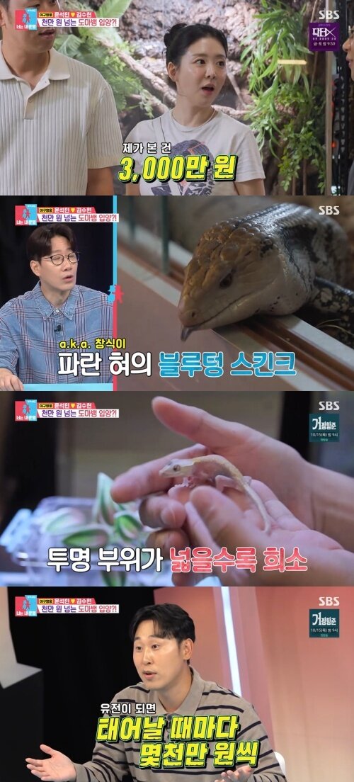 본문 이미지 - SBS '동상이몽2' 화면 캡처