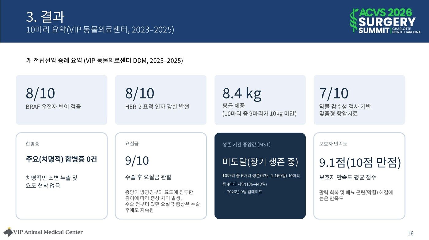 본문 이미지 - VIP동물의료센터 제공 ⓒ 뉴스1