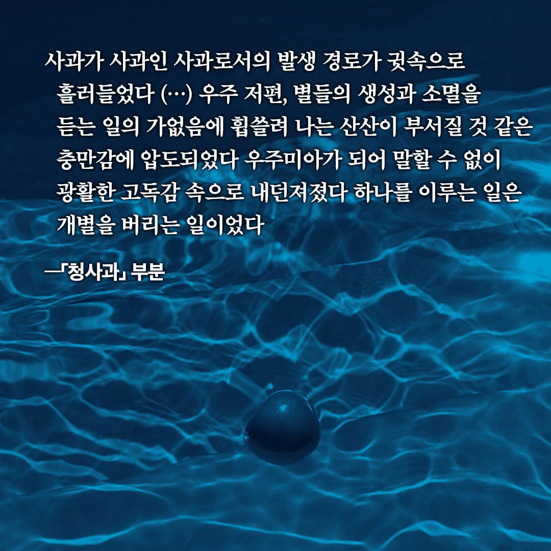 본문 이미지 - '청색에 흘린 청색' 표지/뉴스1