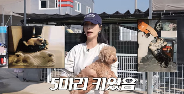 고소영 "반려견 5마리 '줄초상', 한동안 못 키웠다"…과거 아픔 고백