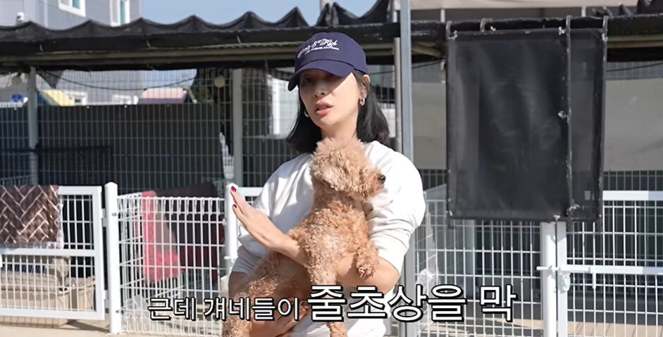 본문 이미지 - 유튜브 채널 '고소영' 캡처