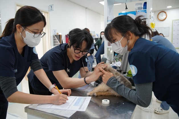 보호견 건강 살피고 산책도…넬동물의료센터, 반려마루 봉사
