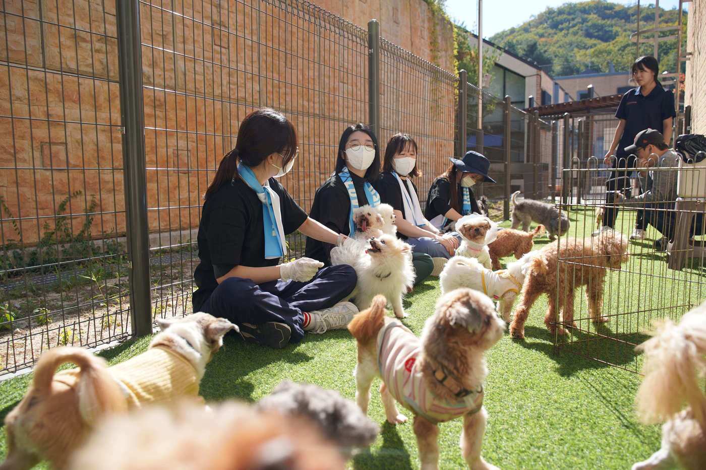 본문 이미지 - 넬동물의료센터 의료진이 경기 반려마루 여주에서 보호동물과 교감하고 있다(병원 제공). ⓒ 뉴스1