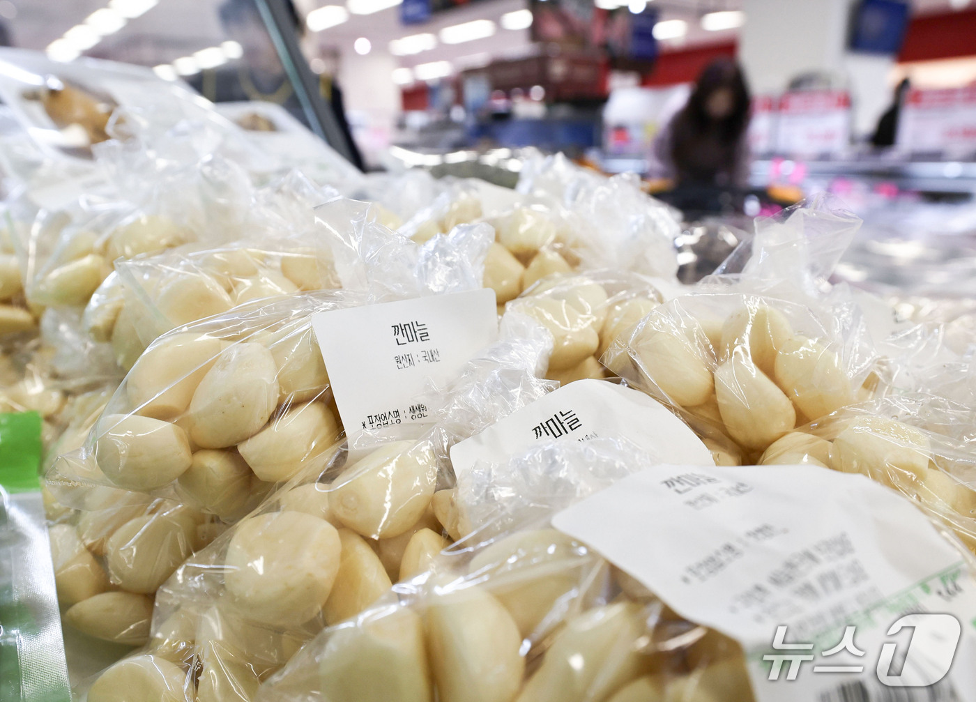 (서울=뉴스1) 이종수 기자 = 본격적인 김장철을 앞두고 배추와 무 가격이 지난해보다 낮은 수준을 보이고 있다. 13일 한국농수산식품유통공사(aT) 등에 따르면 올해 가을배추 생산 …