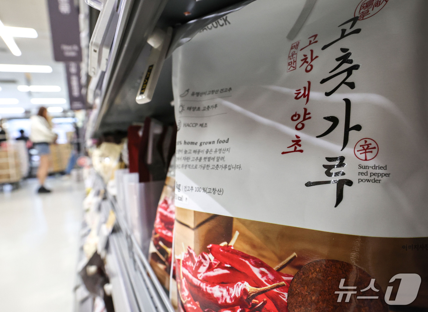 (서울=뉴스1) 이종수 기자 = 본격적인 김장철을 앞두고 배추와 무 가격이 지난해보다 낮은 수준을 보이고 있다. 13일 한국농수산식품유통공사(aT) 등에 따르면 올해 가을배추 생산 …
