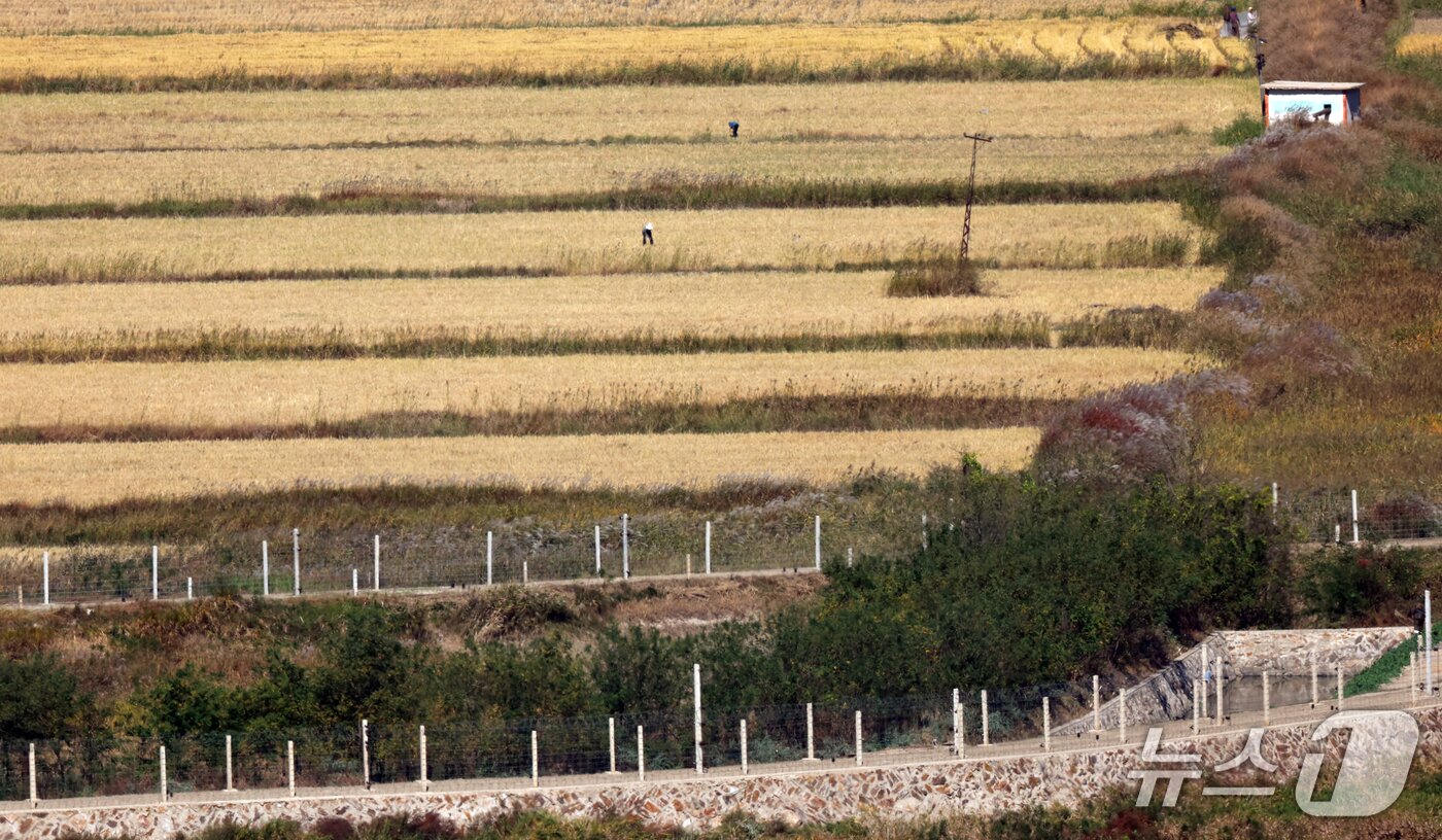 본문 이미지 - 합동참모본부는 강화도 전방 북측 지역에서 지속적으로 들려오는 폭발음이 해안경계시설 보강을 위한 공사로 인한 것이라 밝혔다. 장도영 합동참모본부 공보실장은 지난 13일 국방부 정례브리핑에서 관련 질문을 받고 "강화도 전방 한강하구 중립수역 북쪽의 북한 해안 지역에서 지속적으로 폭발음이 청취되고 있다＂고 말했다. 사진은 14일 경기도 김포시 애기봉전망대에서 바라본 북한 개풍군 모습. 2026.10.14 ⓒ 뉴스1 김명섭 기자