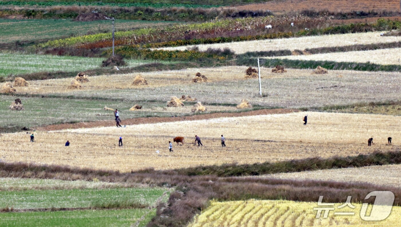 본문 이미지 - 14일 경기도 김포시 애기봉전망대에서 바라본 북한 개풍군 모습. 2026.10.14 ⓒ 뉴스1 김명섭 기자