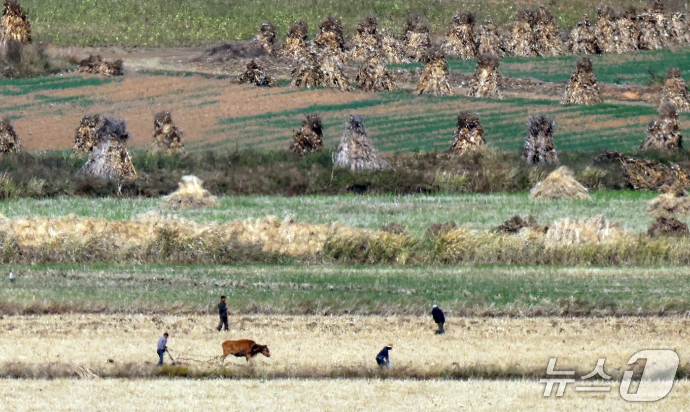 본문 이미지 - 14일 경기도 김포시 애기봉전망대에서 바라본 북한 개풍군 모습. 2026.10.14 ⓒ 뉴스1 김명섭 기자