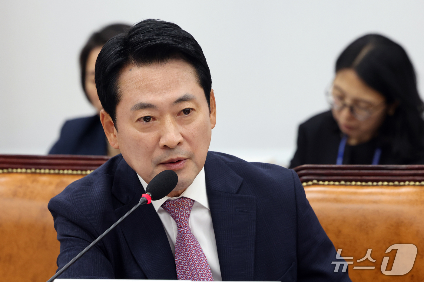 (서울=뉴스1) 황기선 기자 = 장동혁 국민의힘 대표가 14일 서울 여의도 교육위원회에서 열린 서울교육청 등에 대한 국정감사에서 질의를 하고 있다.  2026.10.14/뉴스1