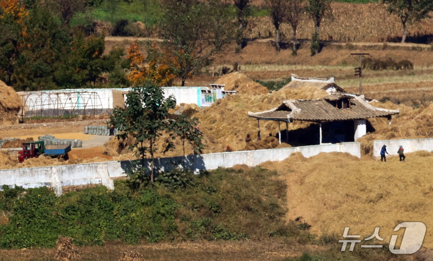 본문 이미지 - 14일 경기도 김포시 애기봉전망대에서 바라본 북한 개풍군 일대에서 북한 주민들이 수확철을 맞아 영농 작업을 하고 있다. 2026.10.14 ⓒ 뉴스1 김명섭 기자