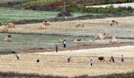 수확철 맞은 북한 농촌…영농 작업 분주