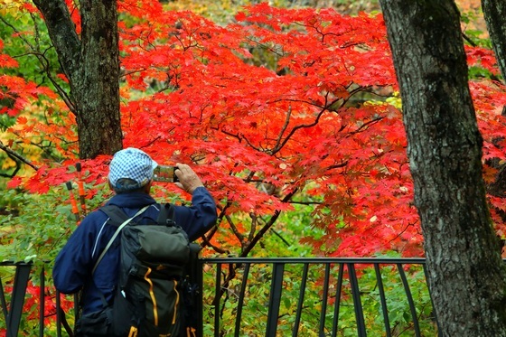 '단풍 절정' 설악·오대산 등 강원 명산에 4만9000여 명 몰려