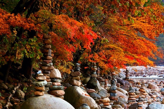 "가을 정취 만끽"…충북 유명산·관광지 흐린 날씨에도 북적