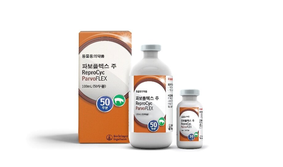 본문 이미지 - 한국베링거인겔하임동물약품이 출시한 새 돼지 파보바이러스 예방 백신 '파보플렉스 주'(업체 제공). ⓒ 뉴스1