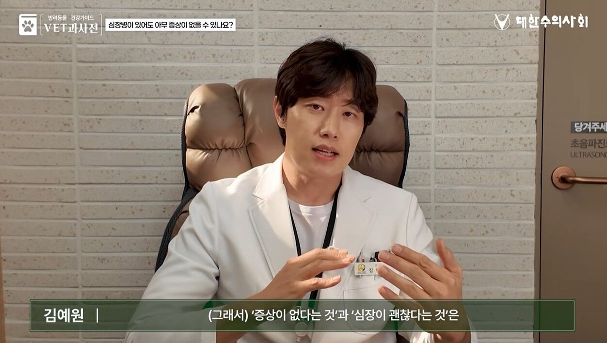 본문 이미지 - 김예원 더케어동물의료센터 대표원장이 대한수의사회와 한국동물병원협회가 마련한 반려동물 건강정보 콘텐츠 '벳과사전'에 출연해 심장병 증상과 관리법을 소개했다(유튜브 갈무리). ⓒ 뉴스1