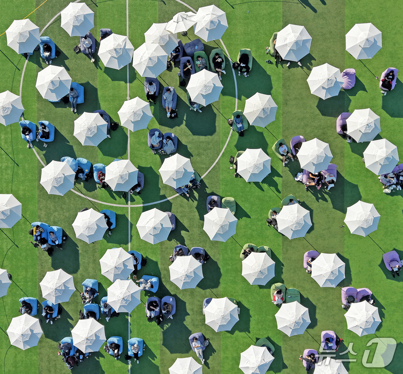 (부산=뉴스1) 윤일지 기자 = 14일 오후 부산 부산진구 동의과학대학교 인조잔디 운동장에서 열린 'Fall in Books' 야외도서관 행사에 참가한 학생들이 독서를 하고 있다. …