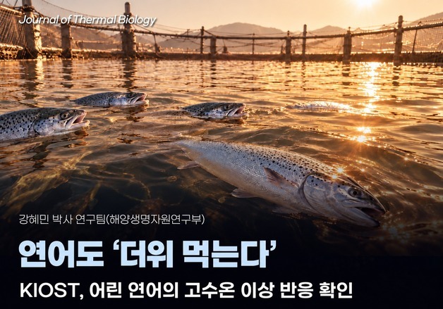 냉수성 연어도 '더위' 먹는다…26℃ 고수온에 간 손상·폐사까지