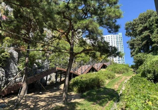 춘천 온의동 아파트 사이 녹지대 산책로 조성…시민 개방