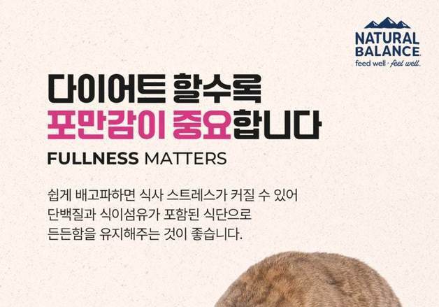 고양이 다이어트, 적게 먹이면 될까…"잘 먹이고 포만감 유지"