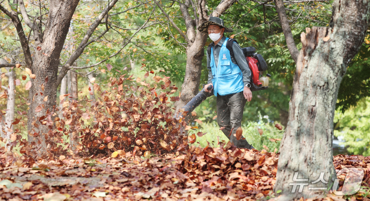 (수원=뉴스1) 김영운 기자 = 완연한 가을 날씨를 보인 15일 경기 수원시 권선구 서호공원에서 공원 관계자가 송풍기로 낙엽을 치우고 있다. 2026.10.15/뉴스1