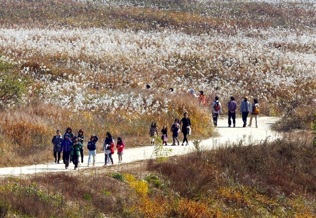 충주시, 환경부 공모사업 선정…비내섬 습지탐방지원센터 건립