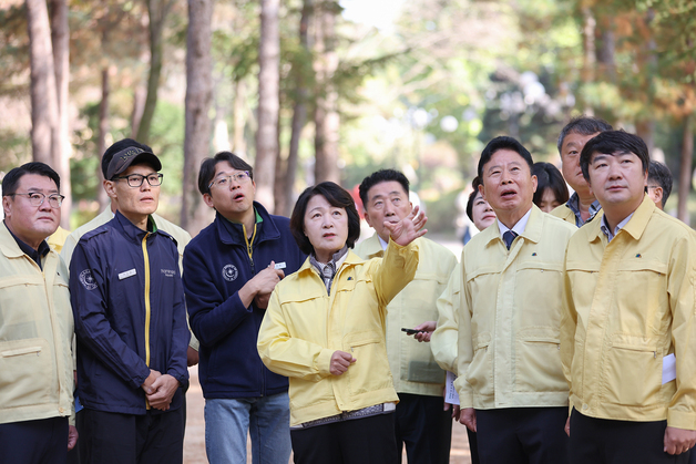 이달 말 가평군 8만4366㏊, 소나무재선충병 특별방제구역 지정