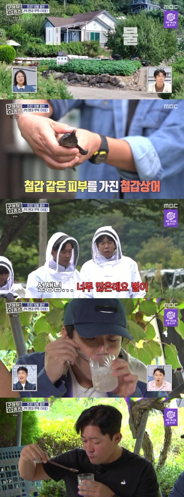 본문 이미지 - MBC '구해줘! 홈즈' 캡처
