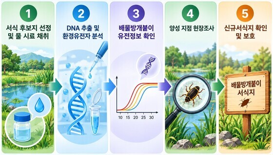 강원 인제서 '희귀 수서곤충' 배물방개붙이 새 서식지 확인