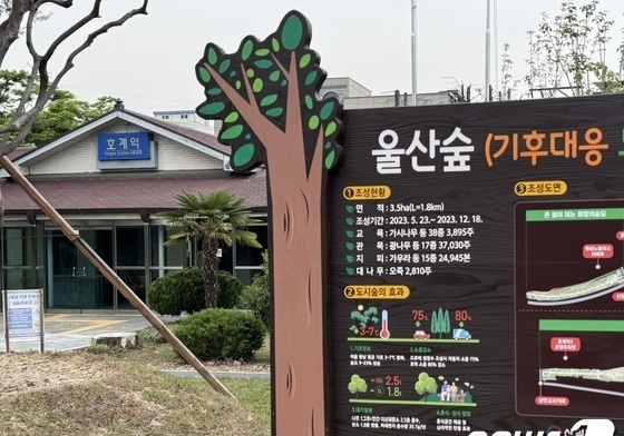 울산 북구, 20일 일자리박람회…그린 잡·시니어 컨설팅도 제공