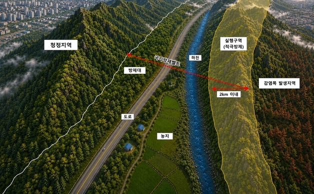 산림청, 800㎞ 규모 소나무재선충병 국가방제벨트 단계적 조성