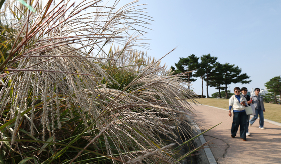 주말 전국에 거센 가을비…수도권·충청권 등 최대 80㎜