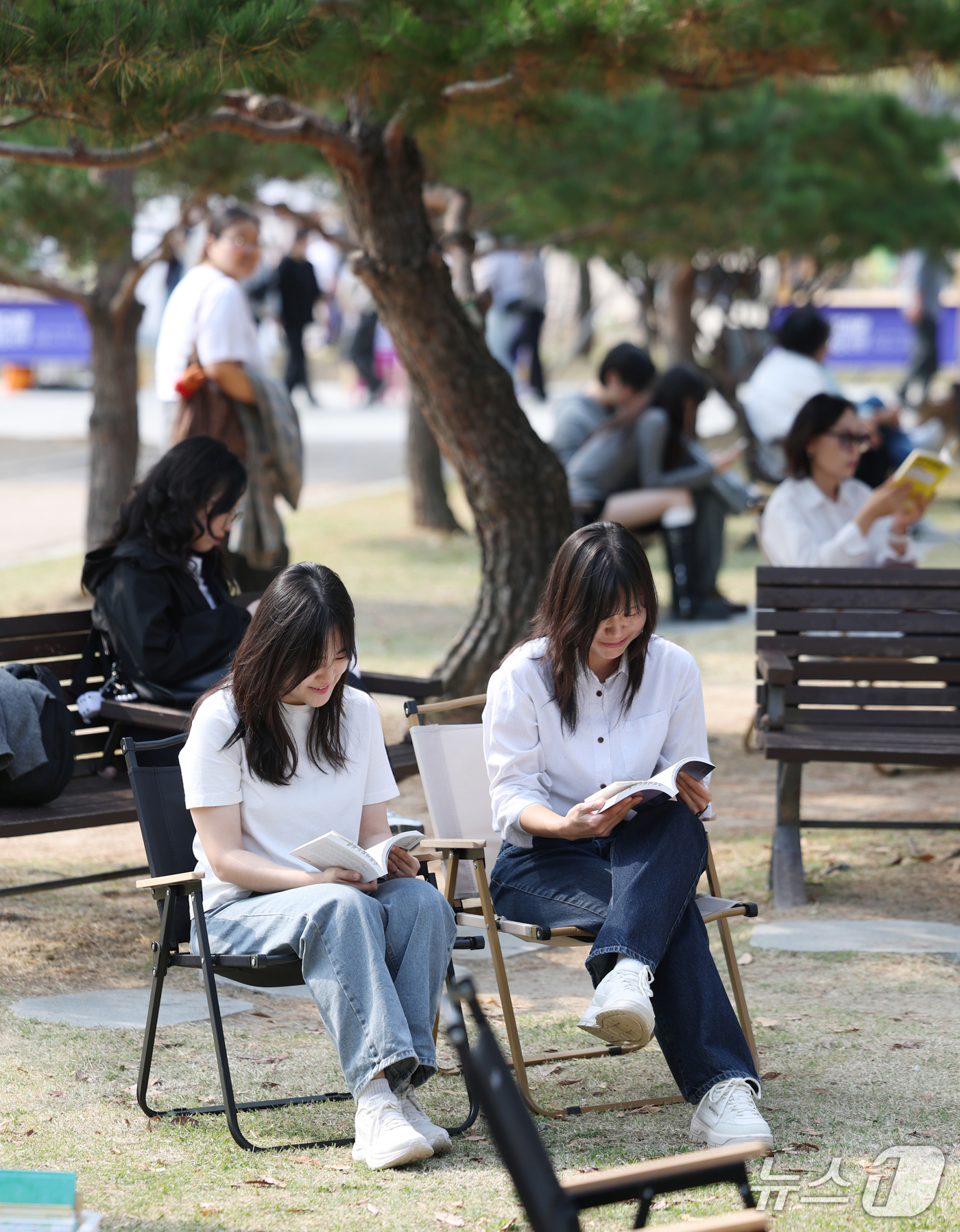 (수원=뉴스1) 김영운 기자 = 완연한 가을 날씨를 보인 16일 경기 수원시 팔달구 수원시립미술관 옆 공원에서 열린 '수원야외도서관 행궁산책'을 찾은 시민들이 독서를 하고 있다.수 …