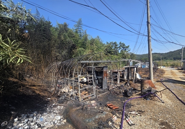 전북 군산 양계장서 불…닭 6000마리 폐사