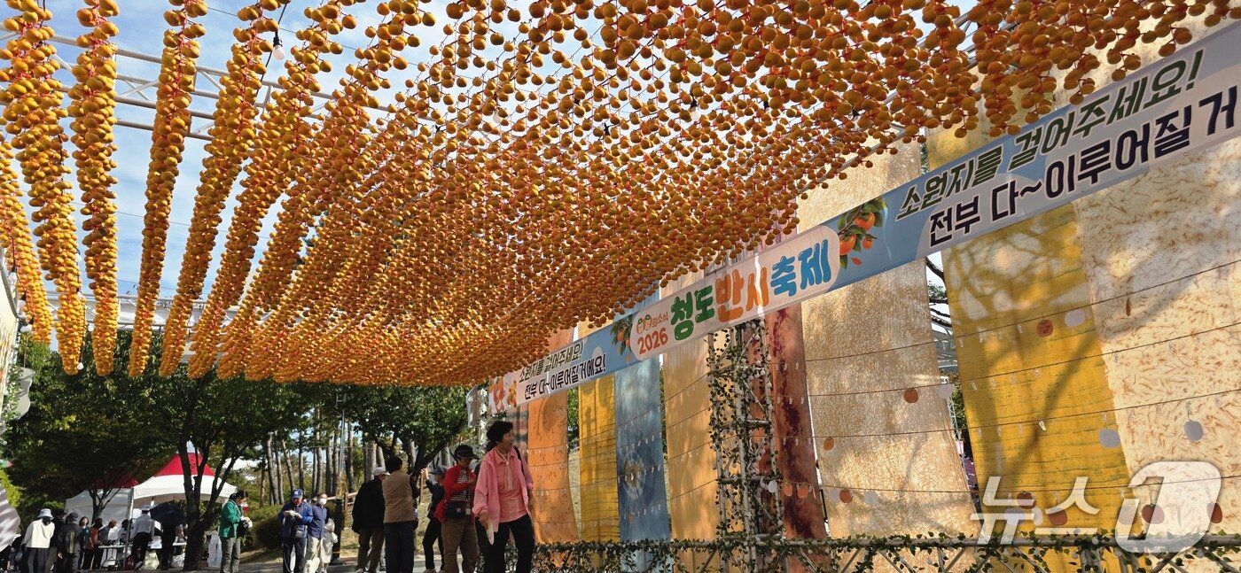 본문 이미지 - 16일 경북 청도 야외공연장 일원에서 열린 '청도 반시축제' 장에 반시 터널에서 방문객들이 기념사진을 찍고 있다. 2026.10.16 / 뉴스1 ⓒ 뉴스1 정우용 기자