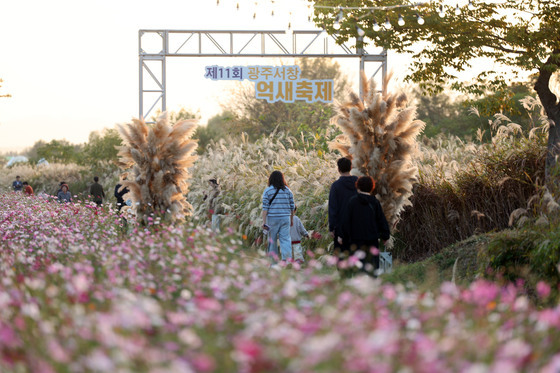 "노을빛에 취하고, LP에 흥나는"…서창억새축제 '가을 감성' 물씬