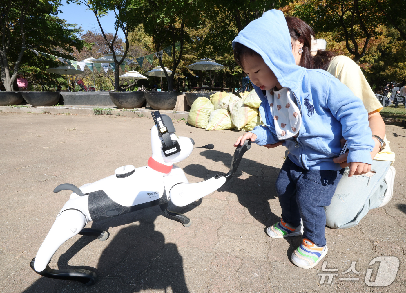 (서울=뉴스1) 박세연 기자 = 17일 오전 서울 서초구 서초문화예술공원에서 열린 '서초 AI페스타'를 찾은 어린이가 로봇 강아지와 인사를 하고 있다. 2026.10.17/뉴스1